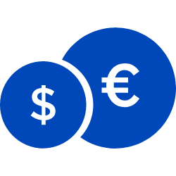 dual currency icon